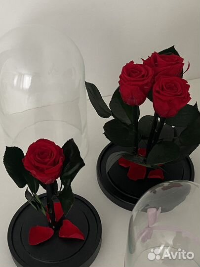 Долговечная Роза в колбе Трио