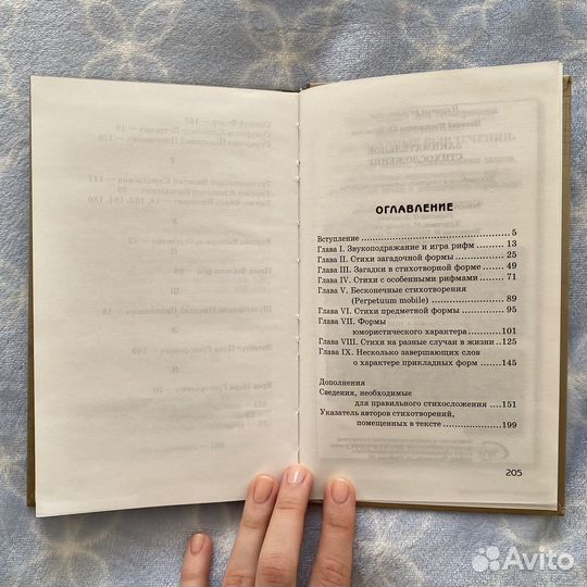 Н. Шульговский Занимательное стихосложение