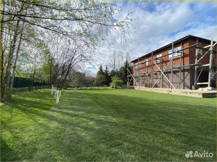 Рулонный газон