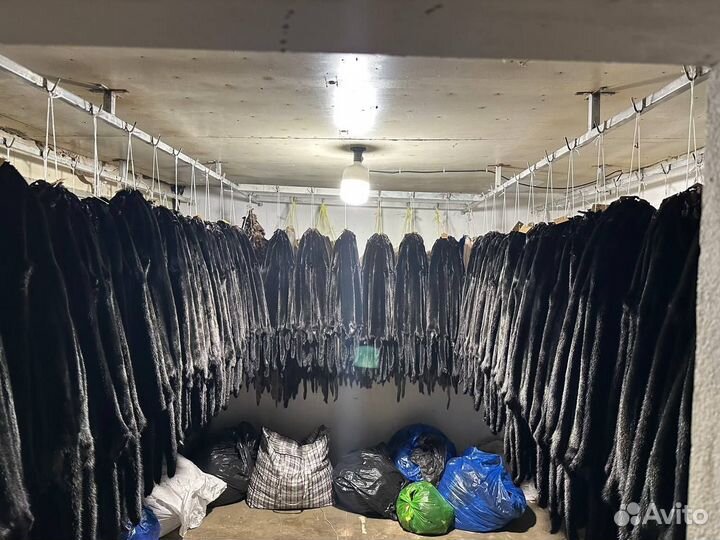 Шкура норки для пошива