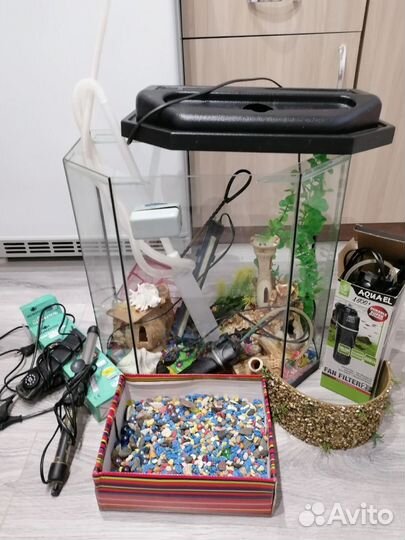 Аквариум