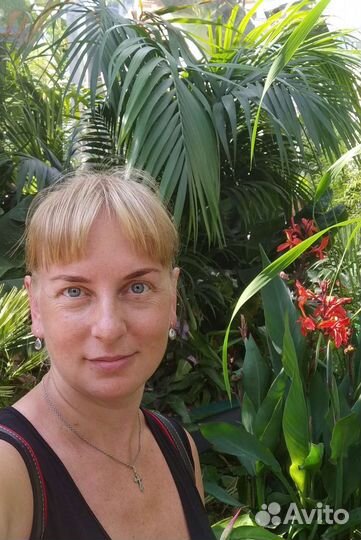 Административный менеджер