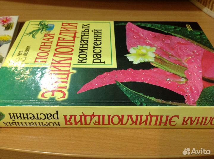 Полная энциклопедия комнатных растений