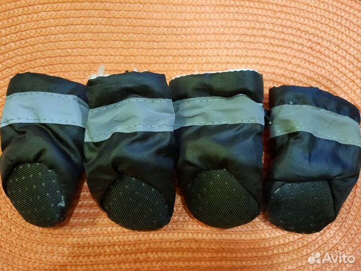 Обувь для собак