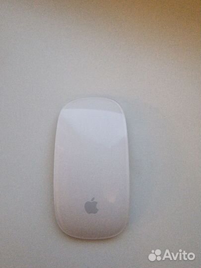 Мышь apple