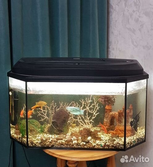 Аквариум