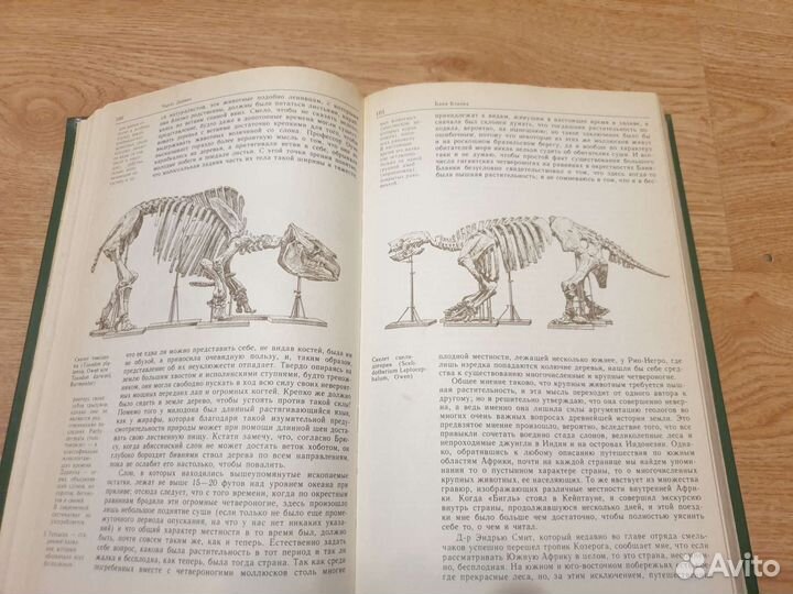 Чарльз Дарвин Путешествие