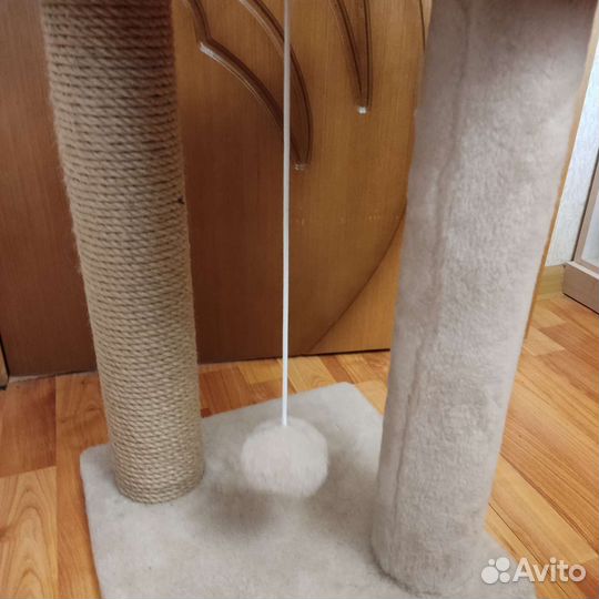 Когтеточка напольная