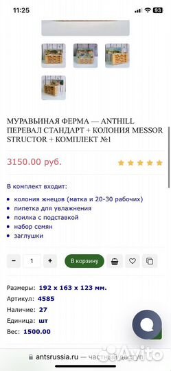 Муравьиная ферма с муравьями
