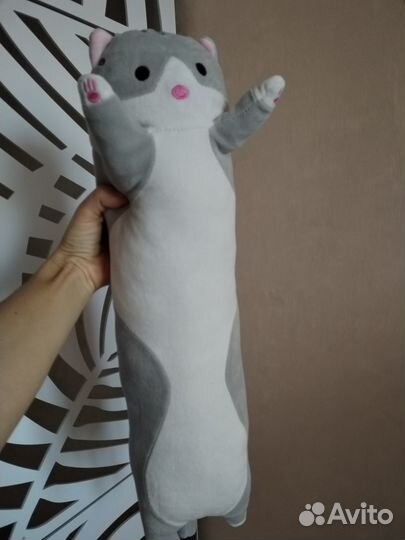 Кот обнимашка