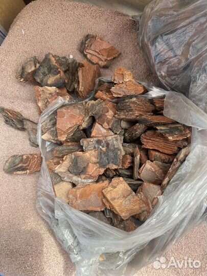 Кора (грунт) для орхидей