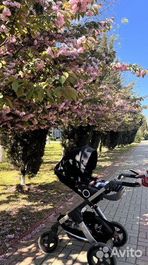 Коляска stokke trailz 2 в 1