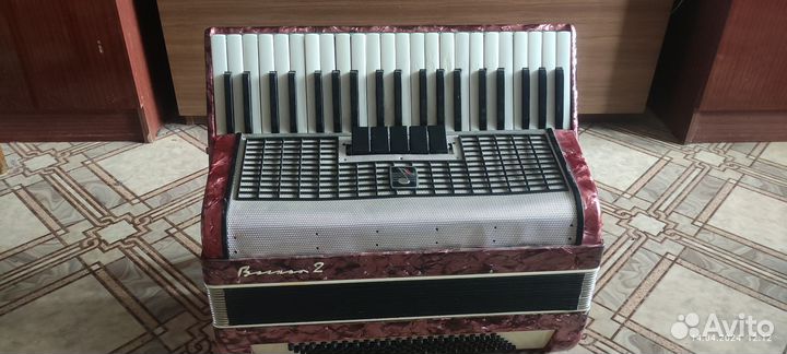 Аккордеон Восход - 2