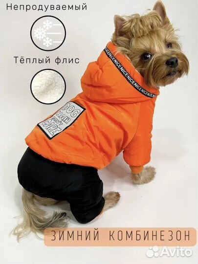 Комбинезон для собаки