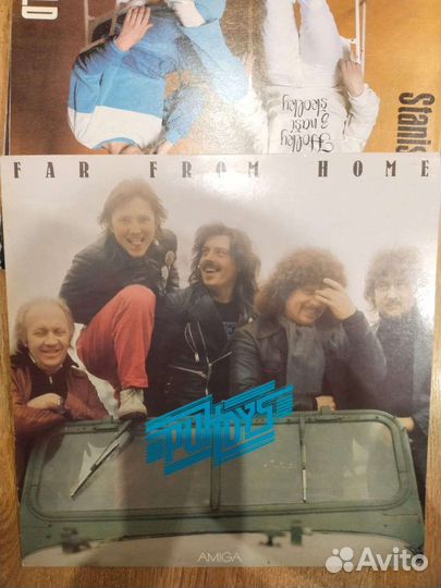 Виниловые пластинки