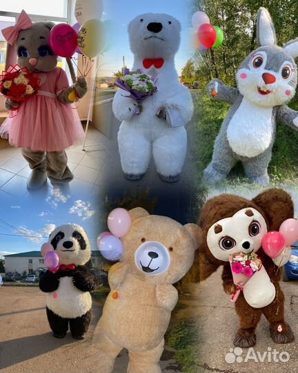 Экспресс поздравление