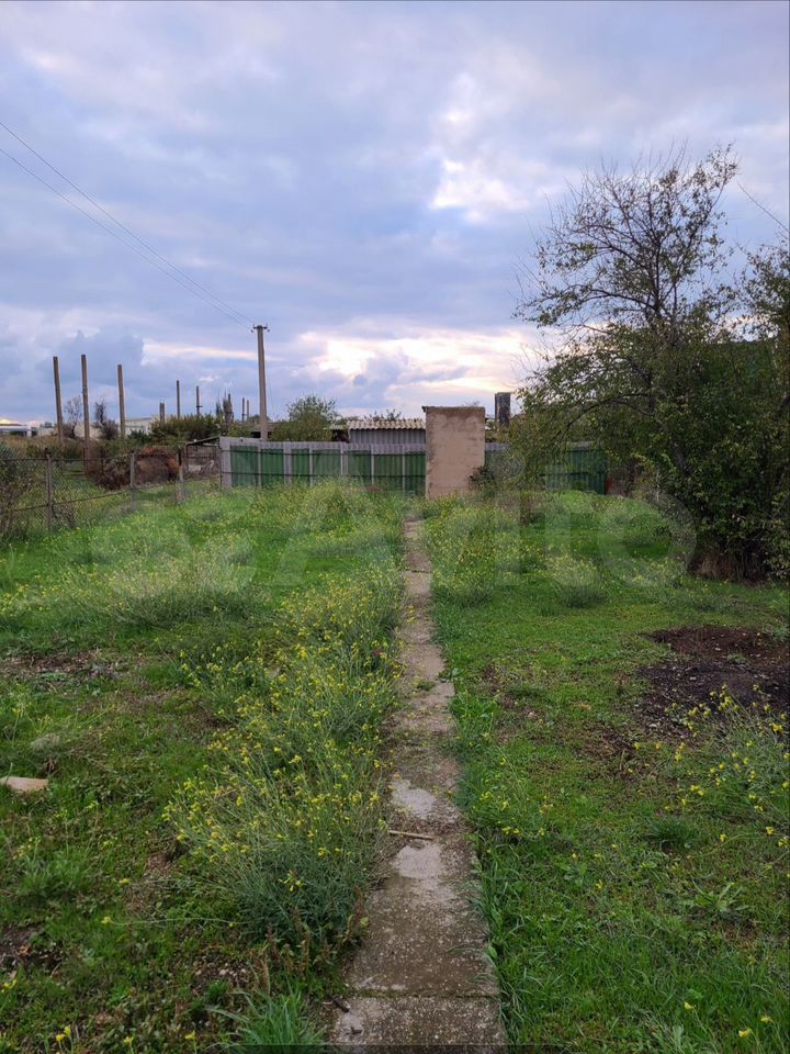 Саки//