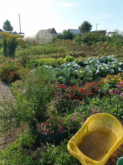 Участок 5,1 сот. (СНТ, ДНП)