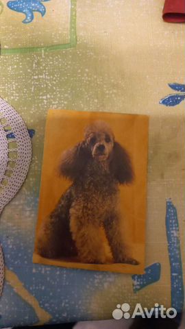 Пудель календарь 1995 г и др