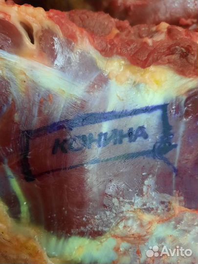 Мясо конина/жеребятина колбаса 