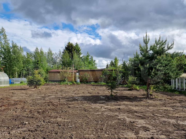 Участок 6 сот. (СНТ, ДНП)