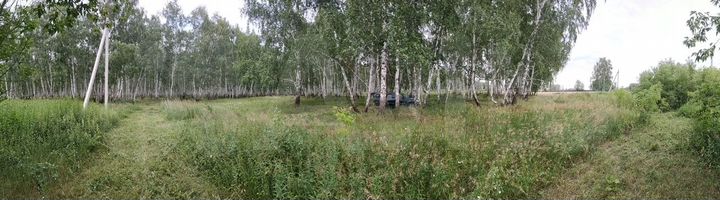 Участок 30 сот. (ИЖС)