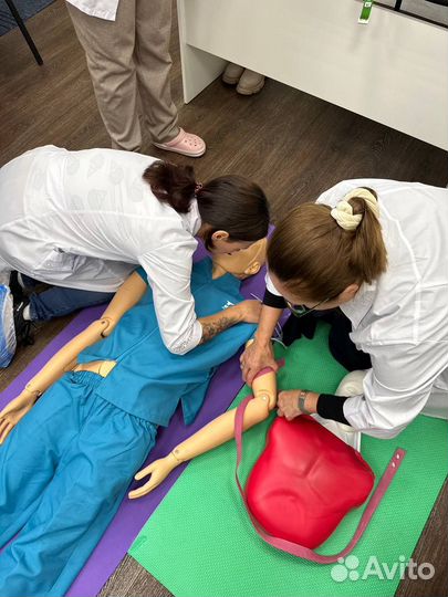 Обучение по курсу 