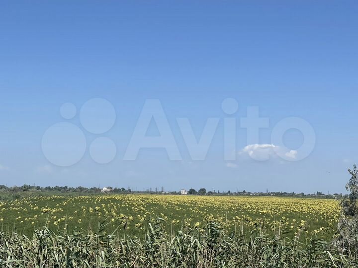 Участок 17,5 га (СНТ, ДНП)