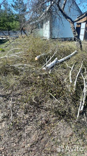 Спилить дерево