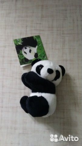 Панда из Китая, отдам собачку