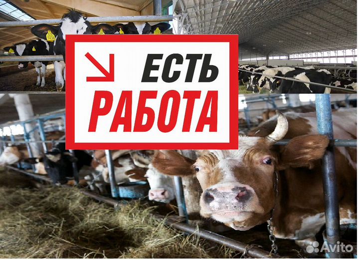 Рабочий на мтф