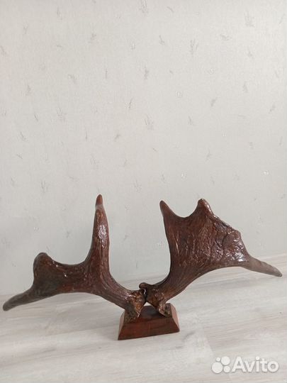Декорация рога лося натуральные