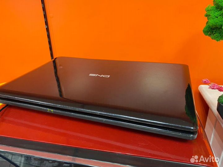 Ноутбук DNS W253EGQ (000738)