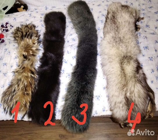 Шкурка животного, воротники