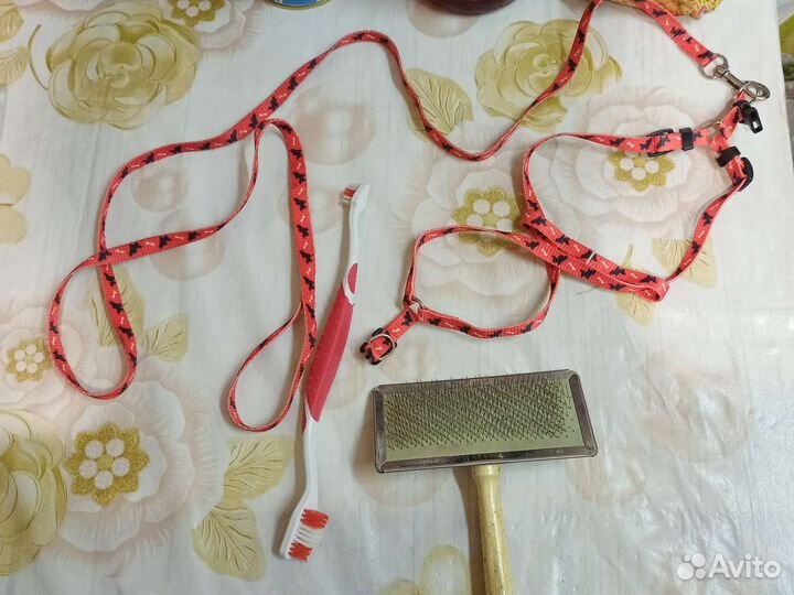 Шлейка с поводком, чесалка, щётка зубная