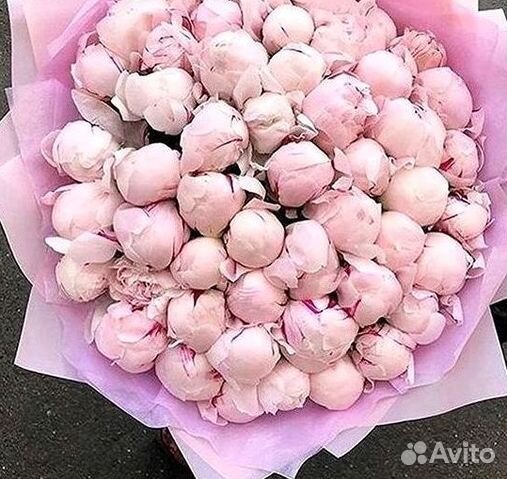 Пионы Розы Доставка