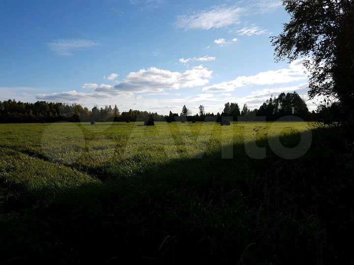 Участок 32,35 га (СНТ, ДНП)