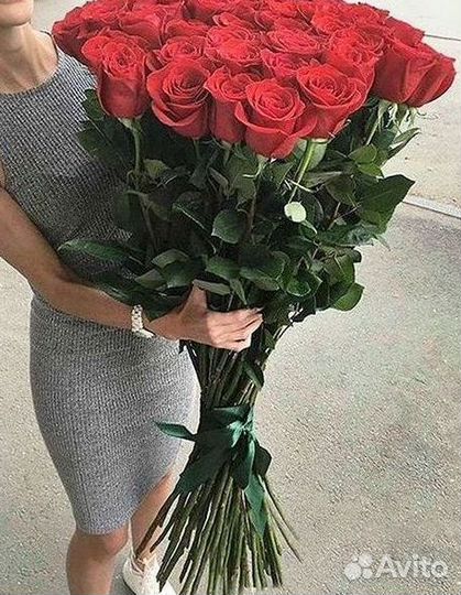 Высокие розы