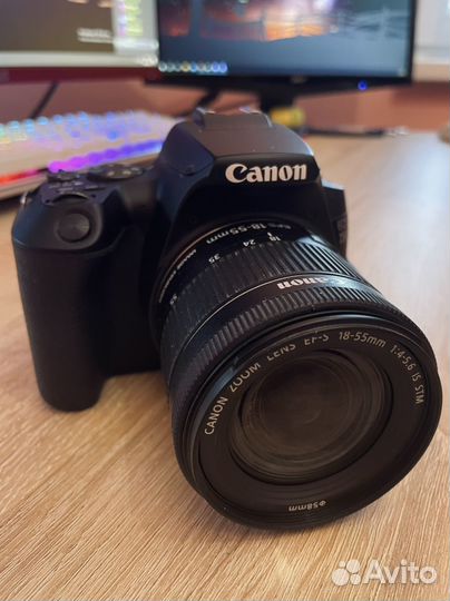 Зеркальный фотоаппарат canon eos 250d