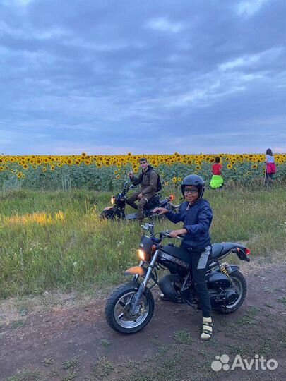 Suzuki Street magic 50