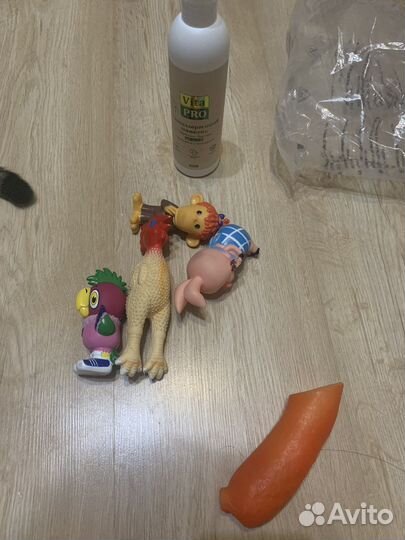 Мини той-терьер