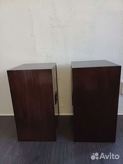 Колонки Электроника 25ас