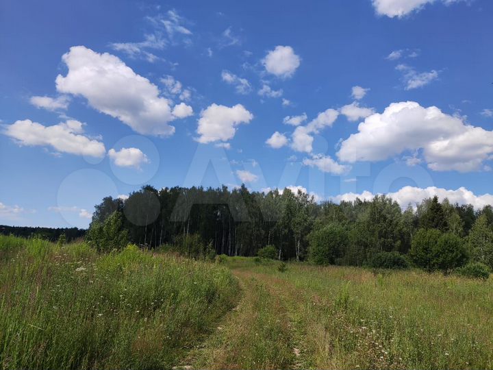 Участок 64,1 сот. (СНТ, ДНП)