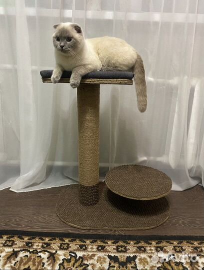 Когтеточка для кошек новая