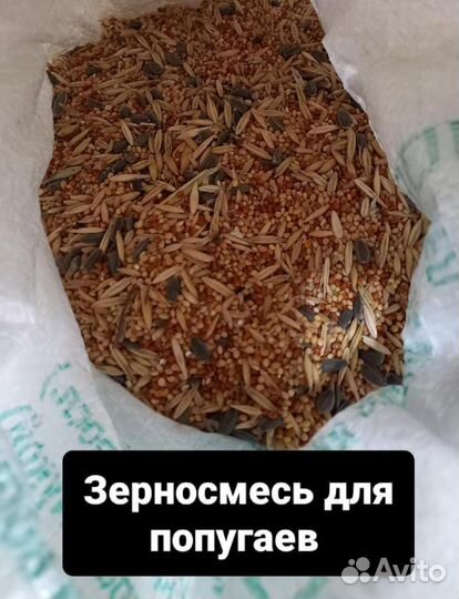 Корма для домашних животных