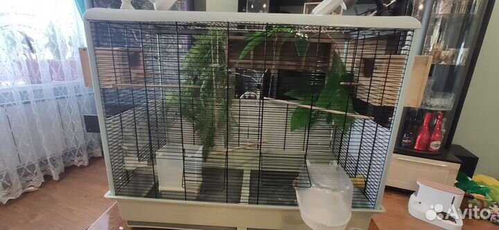 Большая клетка для птиц
