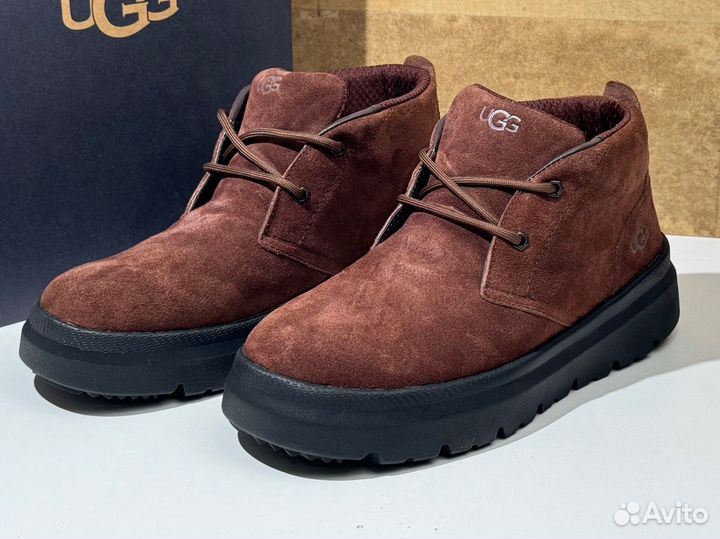 Ugg Mens Burleigh Chukka Dusty Cocoa