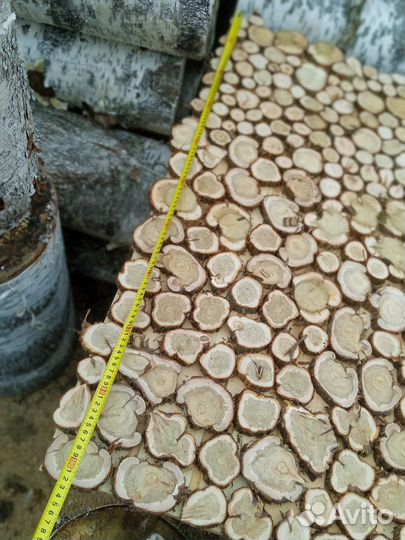 Спилы можжевельника