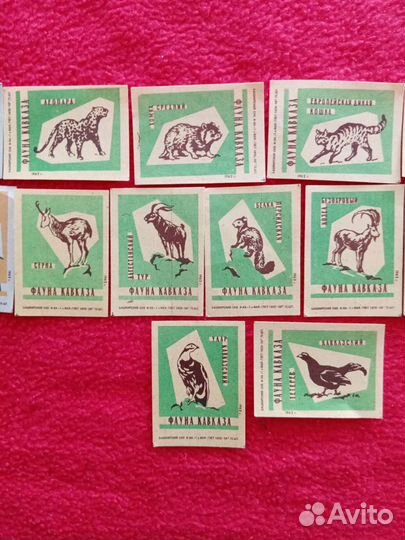 Спичечные этикетки. Фауна Кавказа