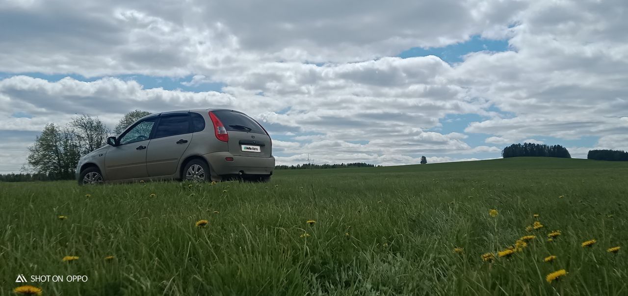 ВАЗ (LADA) Kalina: фото владельца